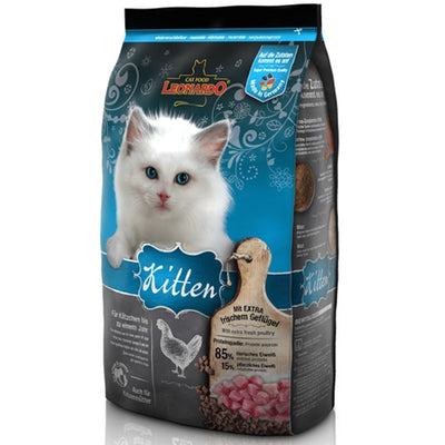 kitten_2_kg_1
