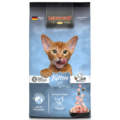 leonardo_kitten_gf_gato_4002633754011.jpg