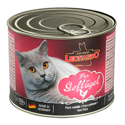 leonardo_lata_adulto_ave_gato_4002633756121.jpg