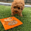 lickimat_buddy_juguete2_perro_9349785005031.jpg