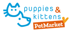 Puppies & Kittens