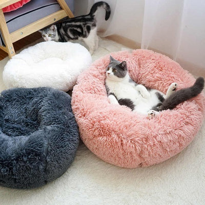 marben_pets_cama2_gato_perro_8450030164579.jpg