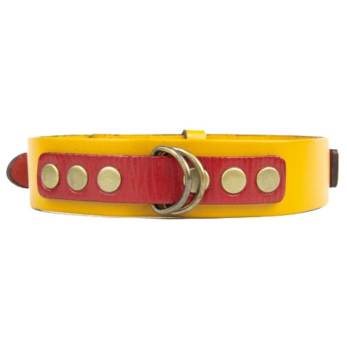 collar_scooby_cuero_amarillo_extra_large_2