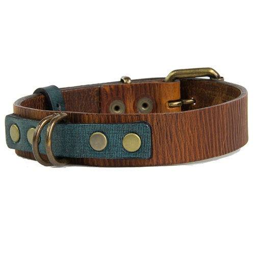 collar_duke_cuero_marron_large_2