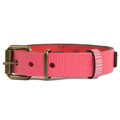mauloa_collar_cuero_rosado_perro_1000307190005.jpg