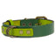 mauloa_collar_cuero_verde2_perro_1000321200004.jpg