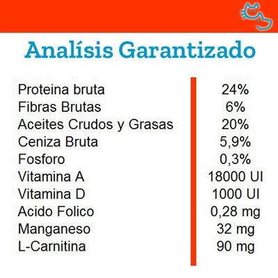 Monge_Alimento_Gato_Renal_1,5kg2_8009470081658.jpg