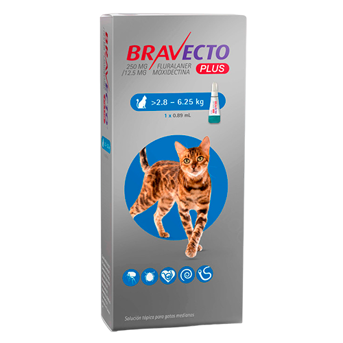 Msd_Bravecto_Gato_Pipeta_8713184194640.png