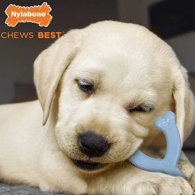 nylabone_hueso_cahorro2_perro_018214832416.jpg
