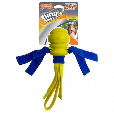 nylabone_juguete_perro_018214848721.jpg