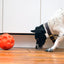 omega_paw_pelota2_premios_perro_620661202003.jpg