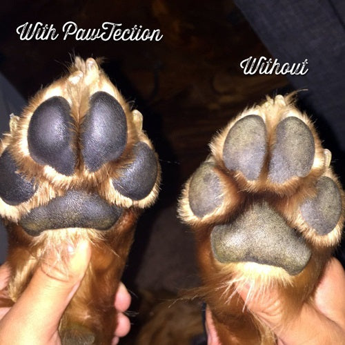 Organic_Pawtection2_Humectante_Pata_Perro_640901459714.jpg