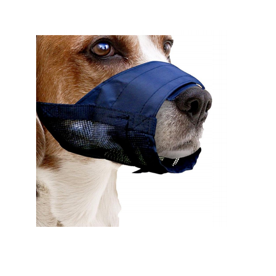 Pawise_Bozal_Nylon_Canino.png