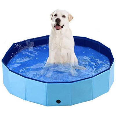 piscina_para_perro_medium_1