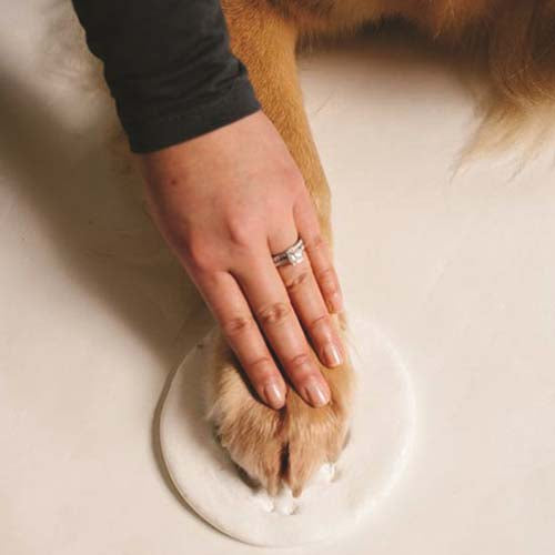 pawprints_keepsake_pearhead2_698904500094.jpg