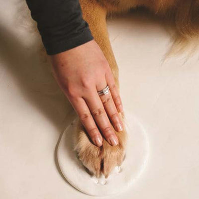 pawprints_keepsake_pearhead2_698904500094.jpg