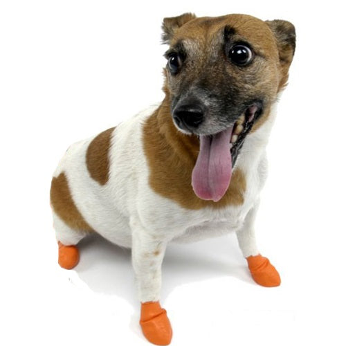 paws_botas_impermeables_perro_897515001048.jpg