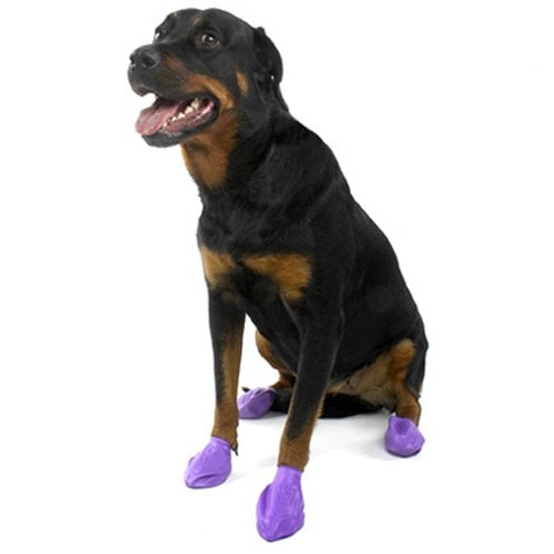 paws_botas_impermeables_perro_897515001055.jpg