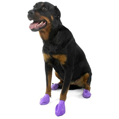 paws_botas_impermeables_perro_897515001055.jpg