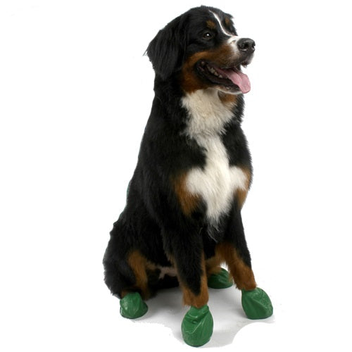 Paws_Botas_Impermeables_Perro_897515001062.jpg