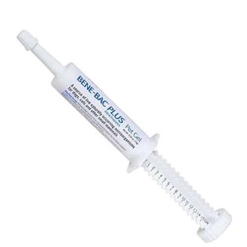 petag_benebac_020279995173.jpg