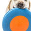 planet_dog_disco_juguete_perro2_834447002866.jpg