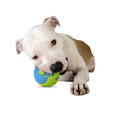 planet_dog_juguete_pelota_menta2_perro_834447003436.jpg
