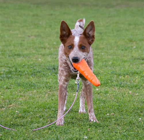 planet_dog_juguete_zanahoria_perro2_834447005256.jpg