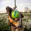 planet_dog_pelota_juguete_fetch_perro2_834447002033.jpg