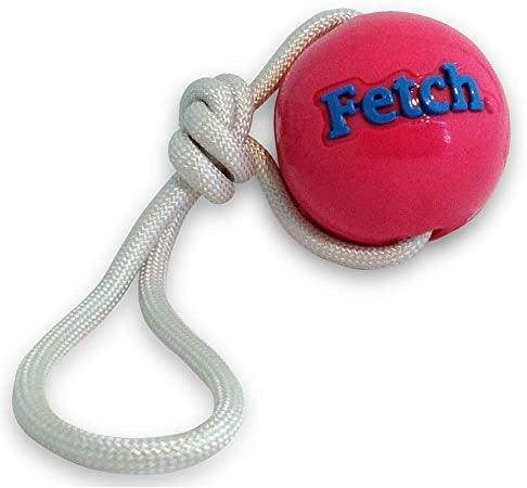 planet_dog_pelota_juguete_fetch_perro_834447002040.jpg
