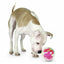 planet_dog_pelota_juguete_rosa_perro2_834447009940.jpg
