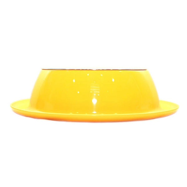 plato_antihormigas_amarillo_l_2_comederos_mascan_canino_sd06000120801.jpg