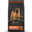 Pro_Plan_Sensitive_Skin_Alimento_Perro_7613035726710.jpg