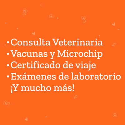 Servicio Consulta Veterinaria