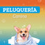 Servicio Peluquería