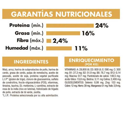 royal_canin_alimento_bulldog_frances_perro2_7896181215257.jpg