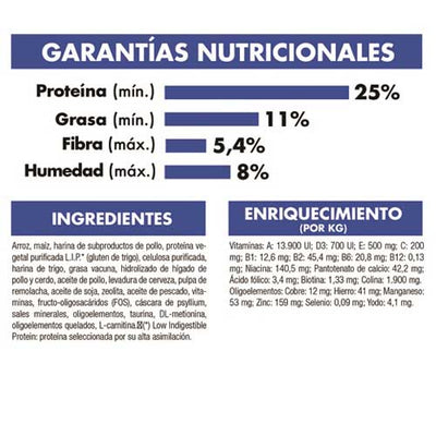 royal_canin_alimento_home_life_indoor_27_gato2_7896181212836.jpg
