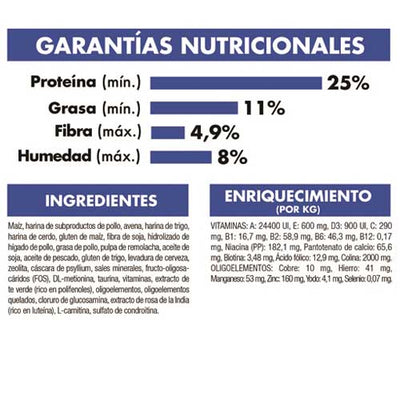royal_canin_alimento_home_life_indoor_gato2_7896181215790.jpg