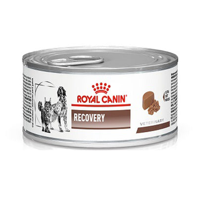 royal_canin_alimento_humedo_recovery_gato_perro_030111260208.jpg
