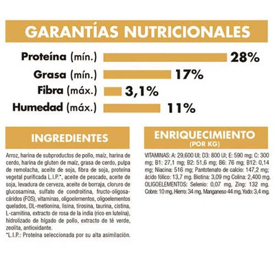 royal_canin_alimento_poodle_adulto2_7896181212706.jpg