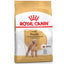 royal_canin_alimento_poodle_perro_7896181212706.jpg
