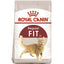 royal_canin_alimento_regular_fit_32_gato_7896181212584.jpg