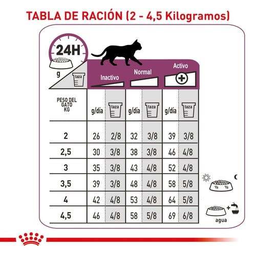 Royal_Canin_Alimento_Renal2_Gato_3182550711142.jpg