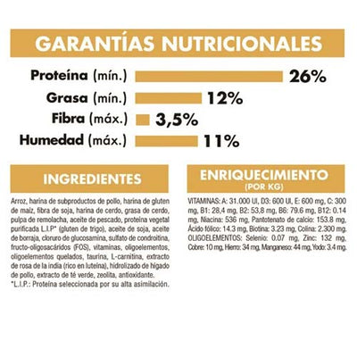 royal_canin_alimento_salchicha_adulto2_perro_7896181212010.jpg