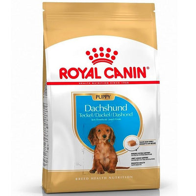 royal_canin_alimento_salchicha_dachshund_perro_7896181298007.jpg