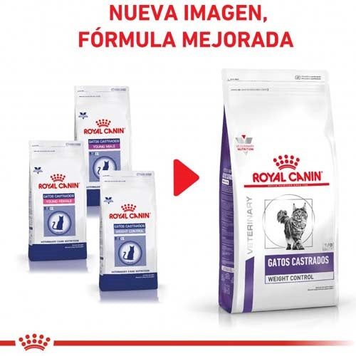 Royal_Canin_Alimento_Weight2_Control_Gato_7790187342125.jpg