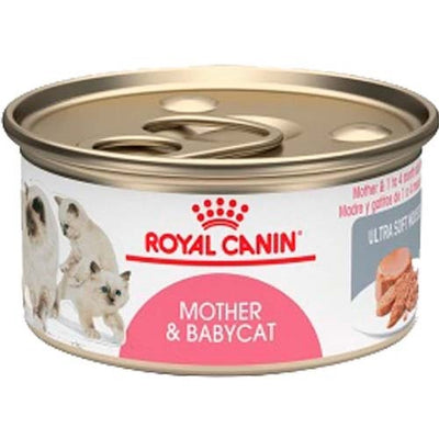 Royal_Canin_Mother_Babycat_Latas_Gato_030111605351.jpg