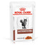 royal_canin_pouch_gastrointestinal_gato_9003579013557.jpg