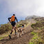 ruffwear_arnes_azul2_perro_748960086282.jpg