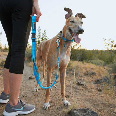 ruffwear_crag_collar_perro_azul2_748960065348.jpg